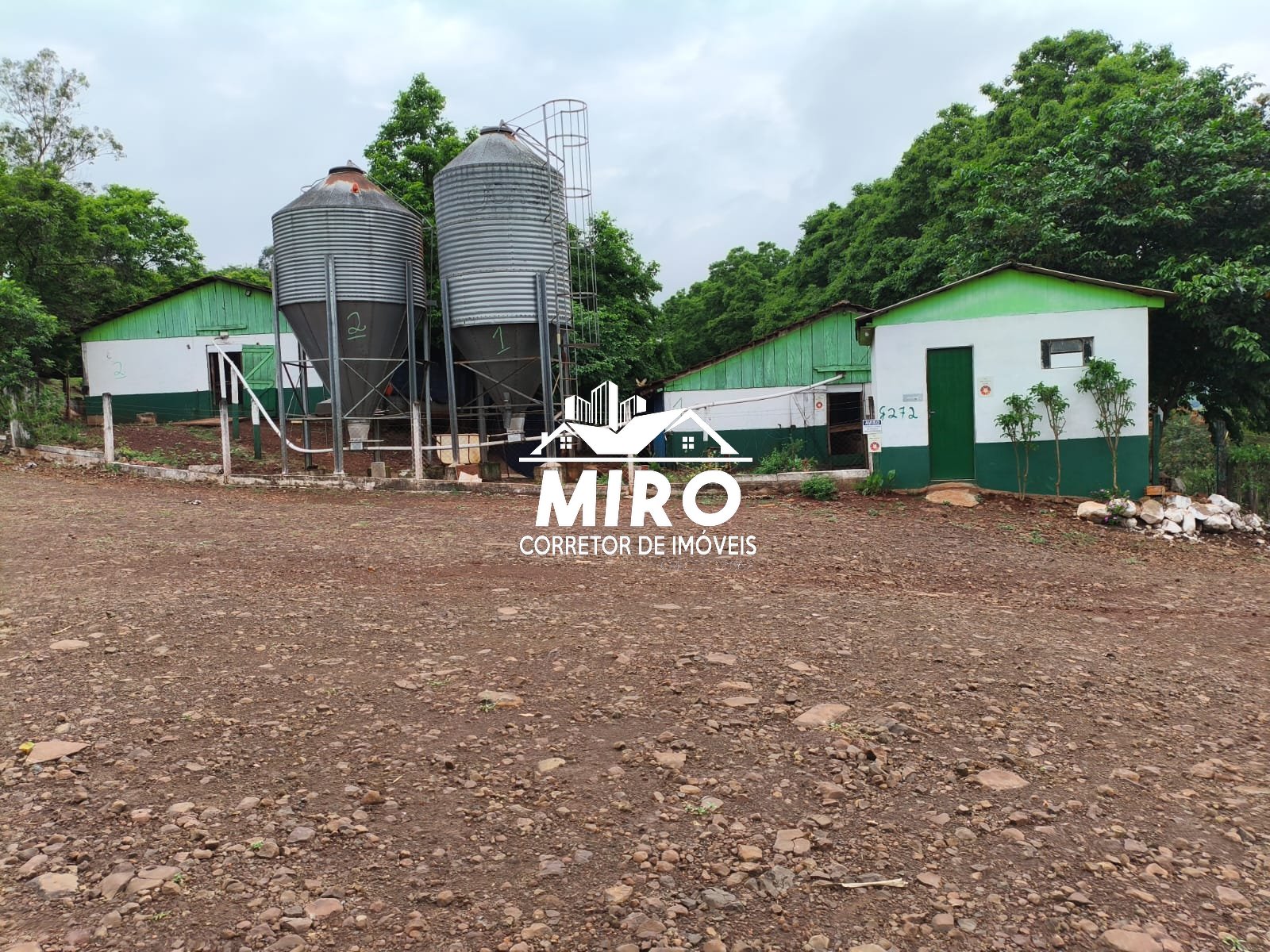 Chácara com Granja de Suínos à Venda em Missal PR - Imagem 1